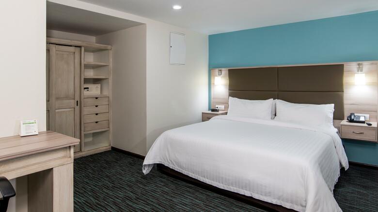 Holiday Inn Hotel & Suites Zona Rosa