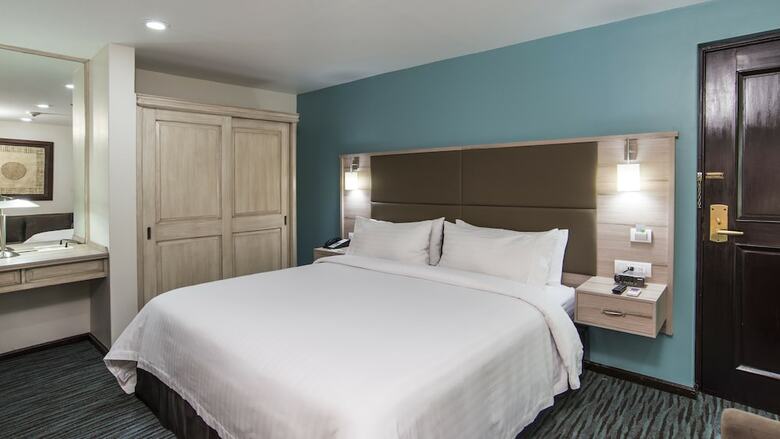 Holiday Inn Hotel & Suites Zona Rosa