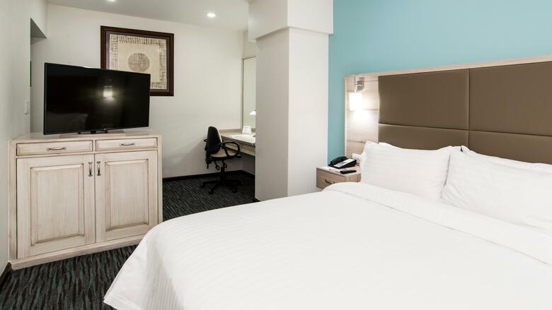Holiday Inn Hotel & Suites Zona Rosa