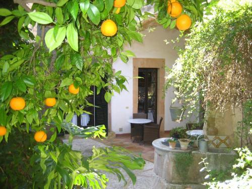 Finca Raims Hotel Interior
