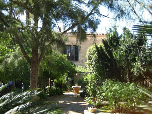 Finca Raims Hotel Interior