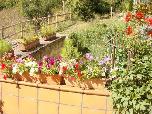 Hostal Carme Pascual