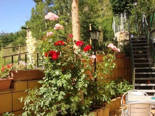 Hostal Carme Pascual