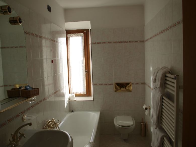 Hotel Alpina