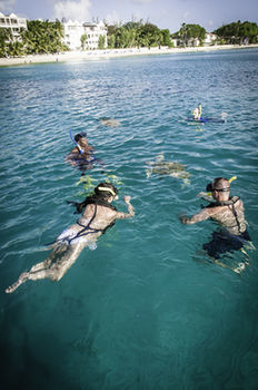 Hotel Waves Beach Resort & Spa
