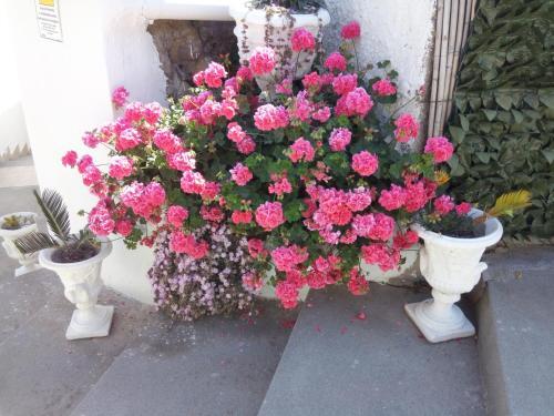 Bed & Breakfast Villa Natalina