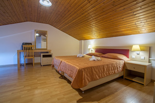 Hotel Aegean View