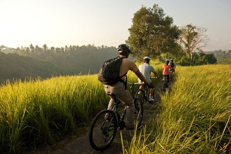 Hotel Uma Ubud