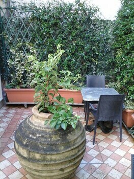 Bed & Breakfast Ca' Dell'arte