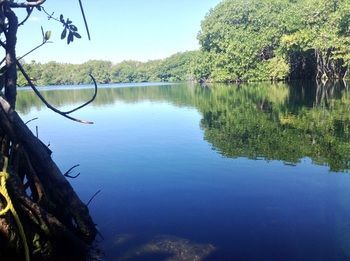 Albergue Cenote El Encanto
