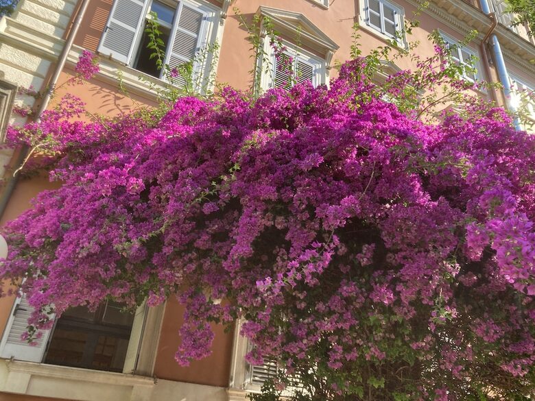 Hotel Casa Valdese