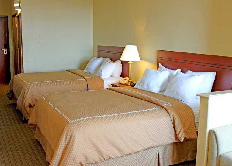 Hotel Comfort Suites Downtown South