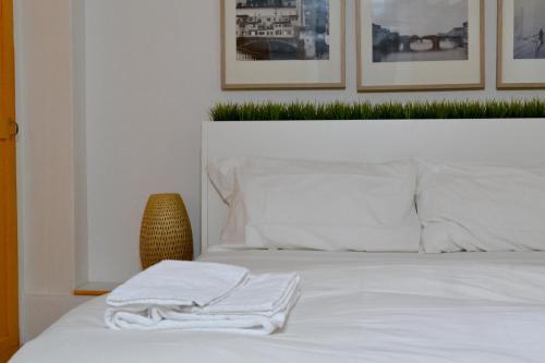 Hotel Green Domus