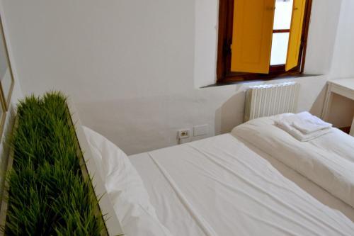 Hotel Green Domus