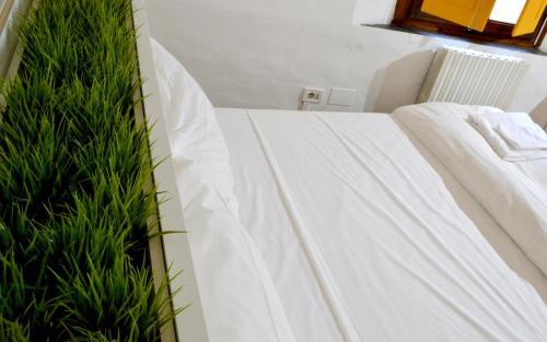 Hotel Green Domus