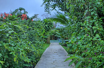 Hotel Mountain Paradise