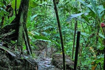 Hotel Mountain Paradise
