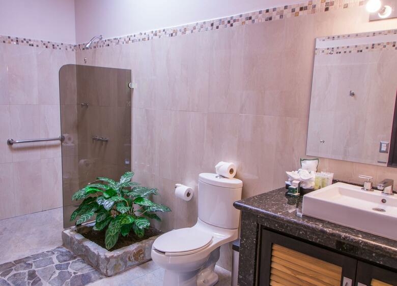 Hotel Arenal Manoa