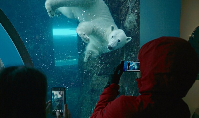 Hotel Delta Winnipeg