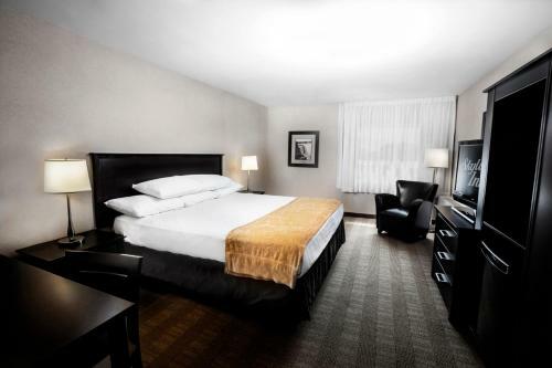 Hotel Skyline Inn