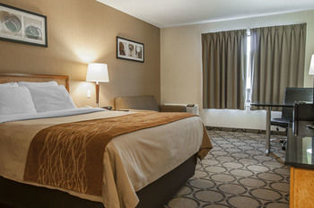Hotel Comfort Inn