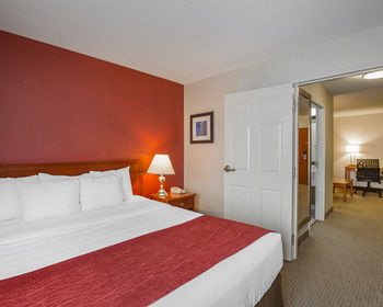 Hotel Comfort Inn & Suites South