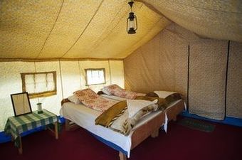 Mystique Meadows Camp