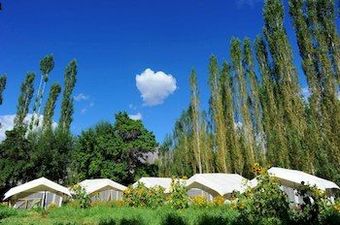 Mystique Meadows Camp
