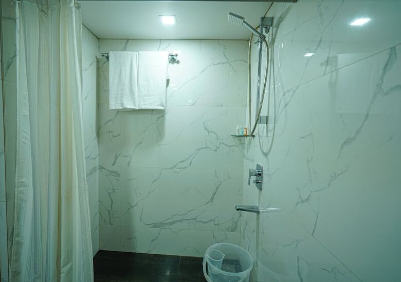 Hotel Mayura