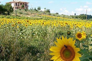 Bed & Breakfast Il Girasole