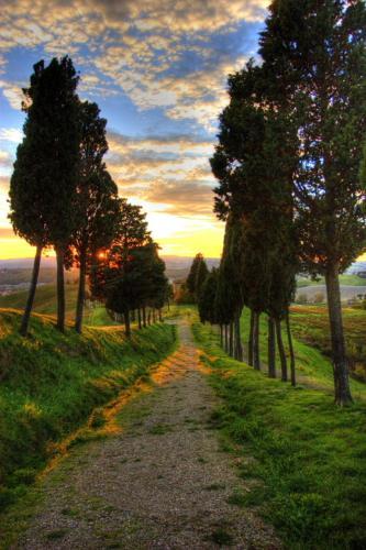 Bed & Breakfast Locanda Viani