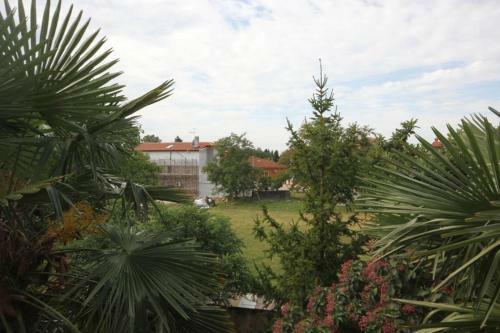 Apartment Basanija 7334a