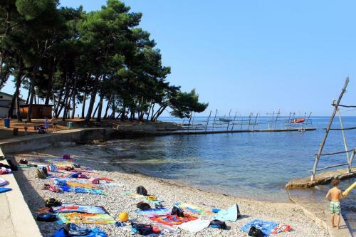 Apartment Basanija 7334a