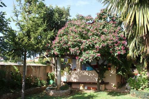 Apartment Basanija 7334a