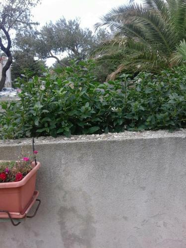 Hostal Guest House Jerica