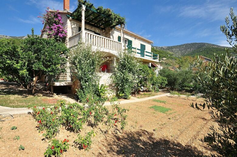 Apartments Damir