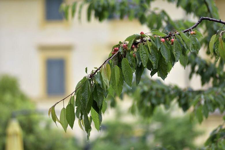 Hotel Arcobaleno