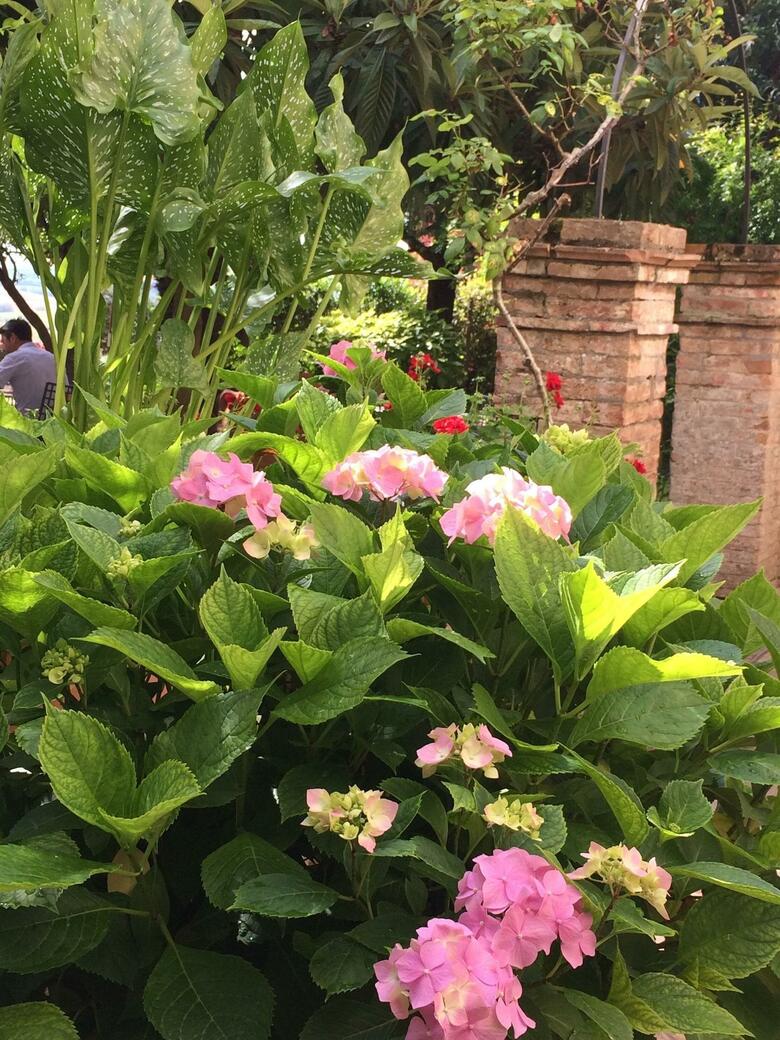 Hotel Santa Caterina