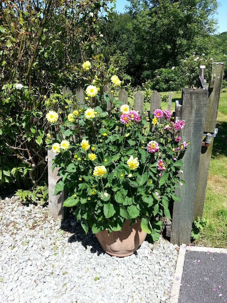 Bed & Breakfast Rosmerryn