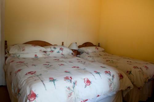 Shamrock House B&B