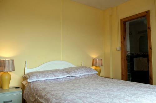 Shamrock House B&B