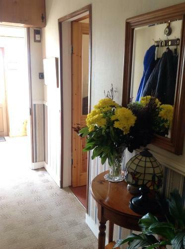 Shamrock House B&B