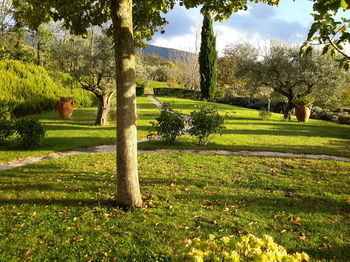 Bed & Breakfast Le Vignole