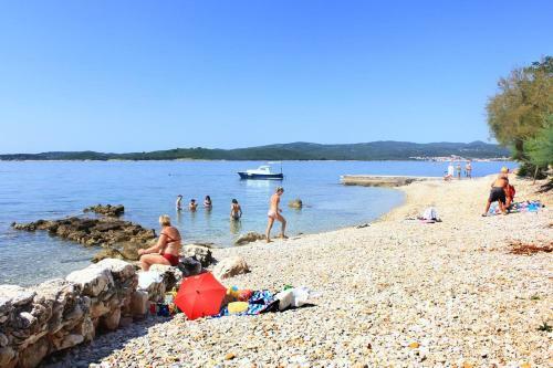 Hostal Apartments With A Parking Space Orebic (peljesac) - 10160
