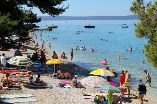 Apartment Podgora 6671c