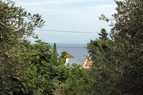 Hostal Apartments By The Sea Splitska (brac) - 5664