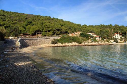 Apartments By The Sea Milna (vis) - 8895