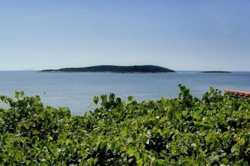 Apartments By The Sea Milna (vis) - 2461