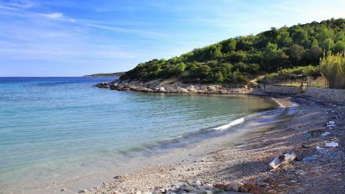 Apartments By The Sea Milna (vis) - 8946