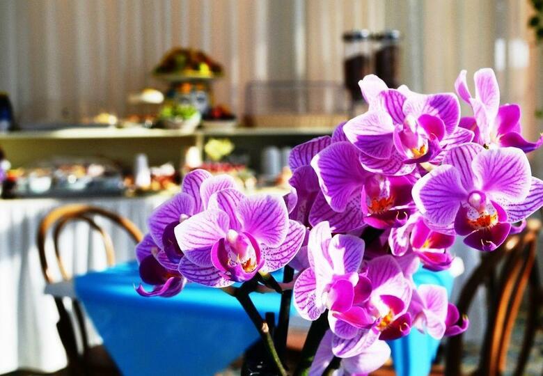 Hotel Pensione Casa Guadagno